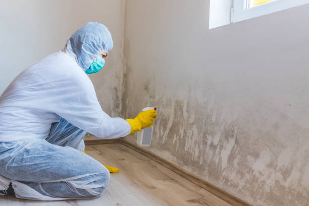 Licensed Mold Remediation service in Simpson, NC - 24 Hour Mold Removal
