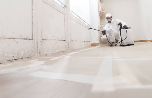 24/7 Emergency Mold Remediation experts in Simpson, NC
