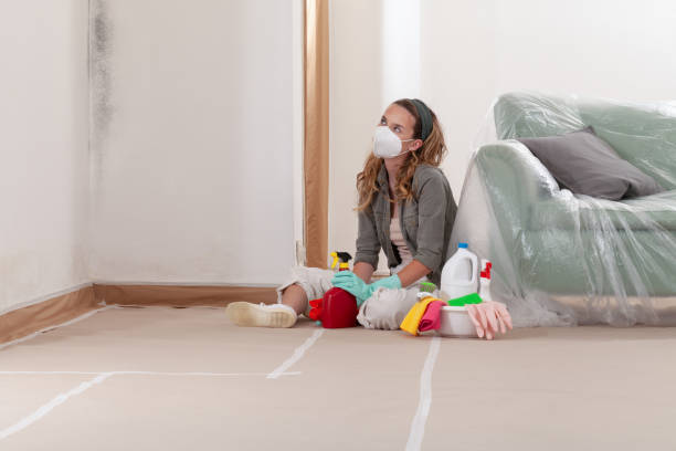 Reliable Mold Remediation contractor in Simpson, NC by 24 Hour Mold Removal